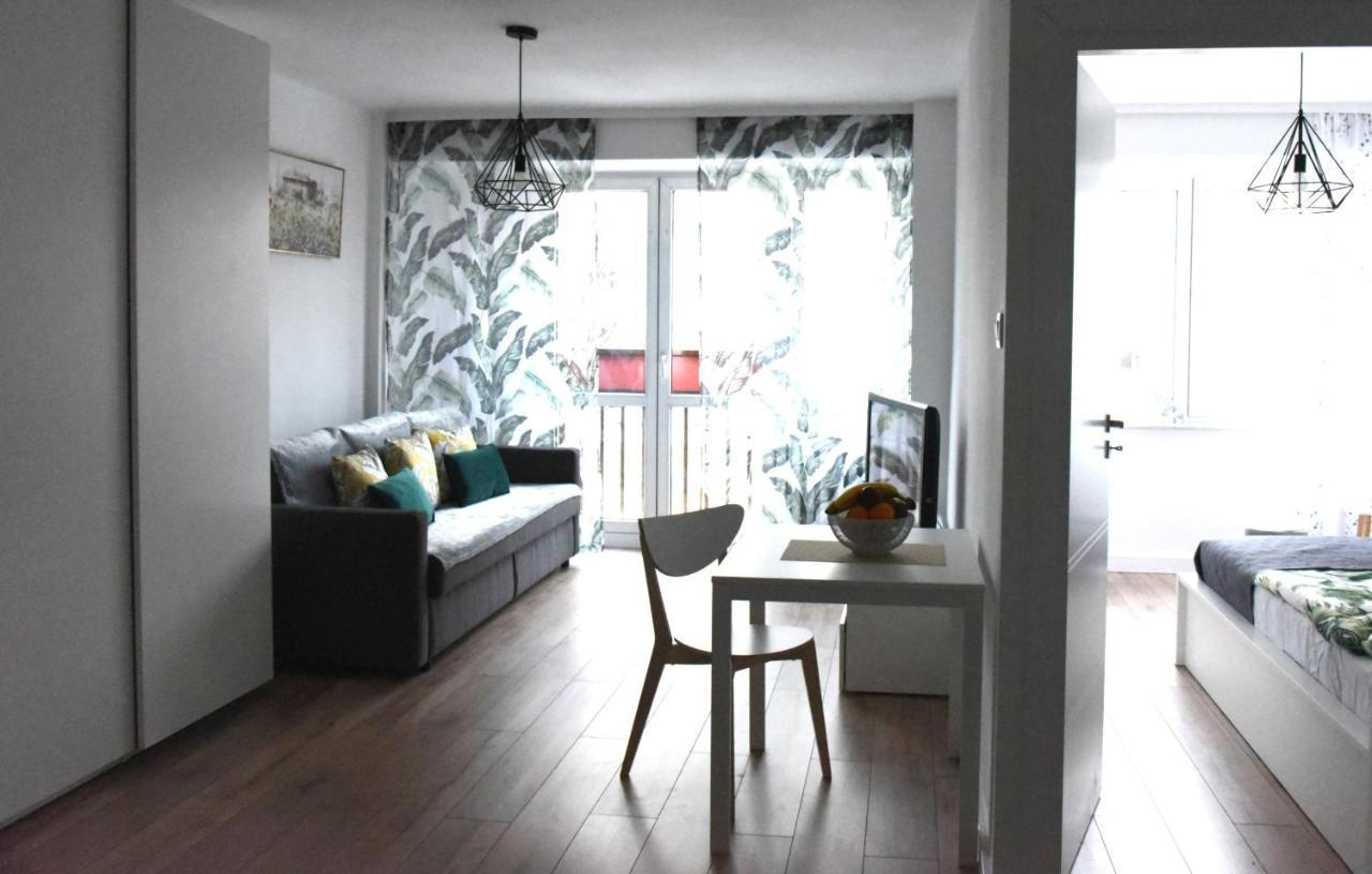 Crystal Apartment カトヴィツェ エクステリア 写真