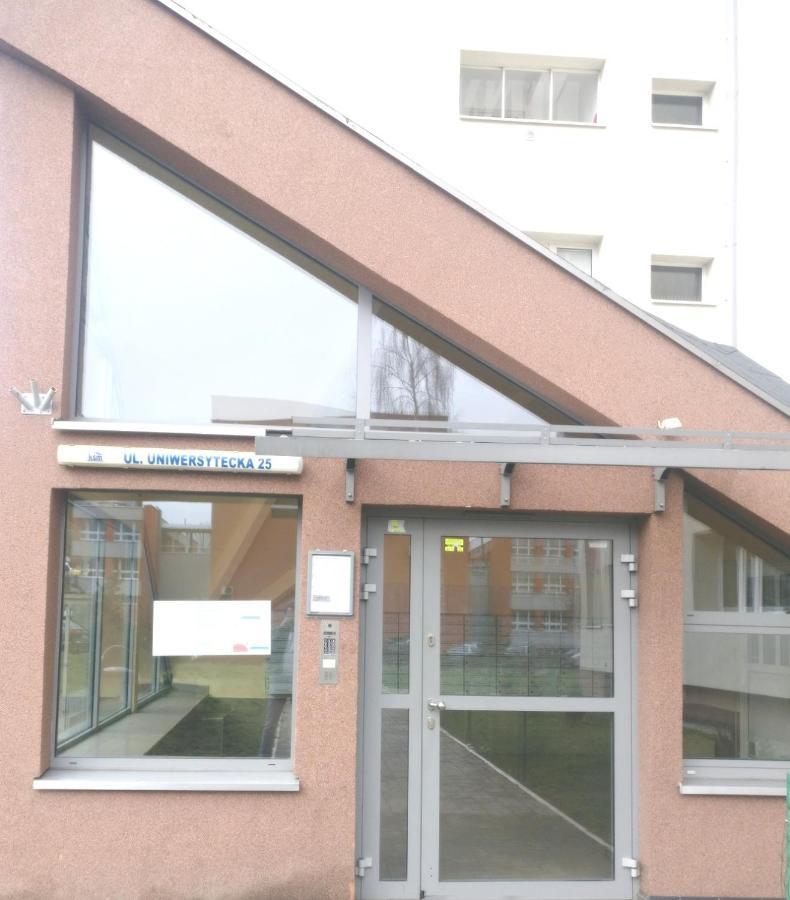 Crystal Apartment カトヴィツェ エクステリア 写真
